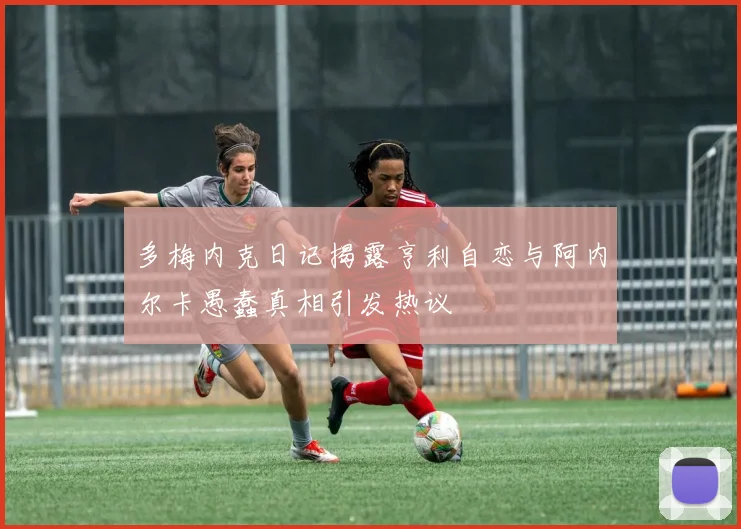多梅内克日记揭露亨利自恋与阿内尔卡愚蠢真相引发热议