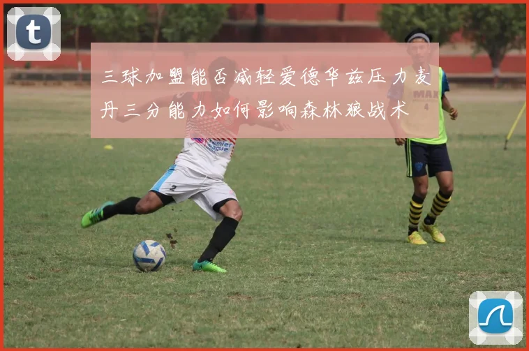 三球加盟能否减轻爱德华兹压力麦丹三分能力如何影响森林狼战术