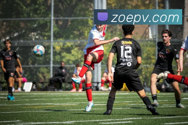 平台展示图